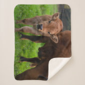 Couverture Sherpa Cutest Baby Animals | Cow & Calf (Devant)