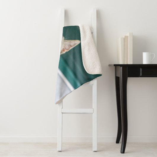 Couverture Sherpa Cutest Baby Animals | Cute Tabby Kitten (En situation)