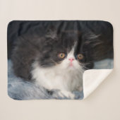 Couverture Sherpa Cutest Baby Animals | Fluffy B&W Kitten (Devant (Horizontal))