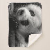 Couverture Sherpa Cutest Baby Animals | Giant Panda Bear Cub (Devant)