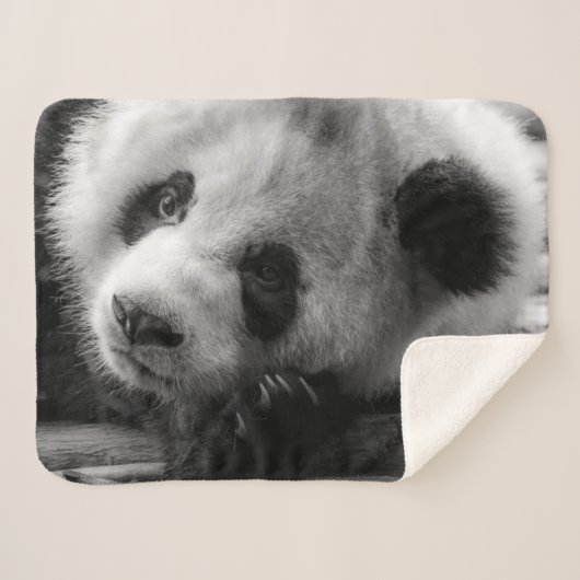 Couverture Sherpa Cutest Baby Animals | Giant Panda Bear Cub (Devant (Horizontal))