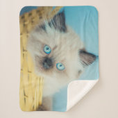 Couverture Sherpa Cutest Baby Animals | Himalayan Seal Point Cat (Devant)