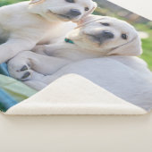 Couverture Sherpa Cutest Baby Animals | Yellow Labrador Retrievers (3/4)