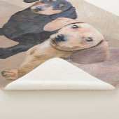 Couverture Sherpa Dachshund (Smooth) Peinture - Art Chien original (3/4)