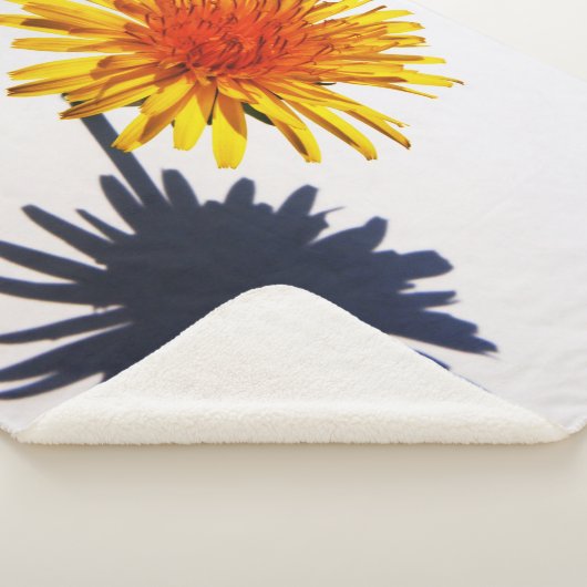 Couverture Sherpa Dandelion et ombre sbcna (3/4)