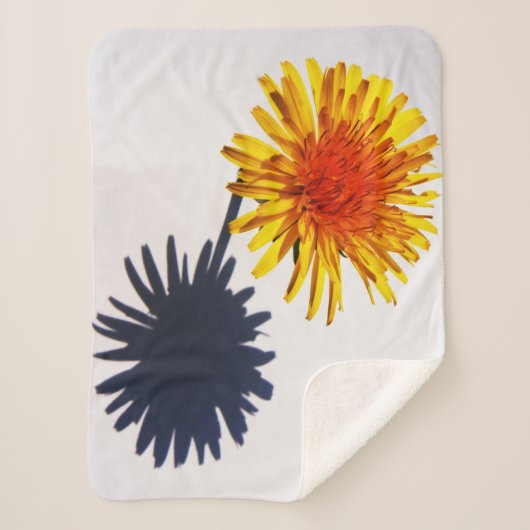 Couverture Sherpa Dandelion et ombre sbcna (Devant)