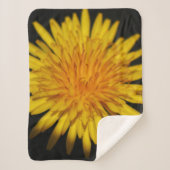 Couverture Sherpa Dandelion Flower sbcna (Devant)