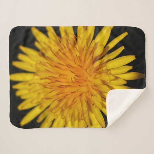 Couverture Sherpa Dandelion Flower sbcna (Devant (Horizontal))