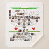 Couverture Sherpa Dave Média privé (Devant)