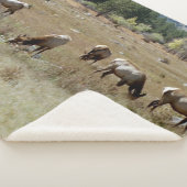 Couverture sherpa d'élan (3/4)
