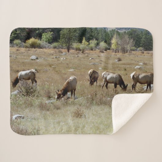 Couverture sherpa d'élan (Devant (Horizontal))