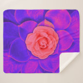 Couverture Sherpa Délice de Rose (Devant (Horizontal))