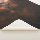 COUVERTURE SHERPA DEMON (3/4)