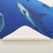 COUVERTURE SHERPA DES REQUINS PARTOUT (3/4)