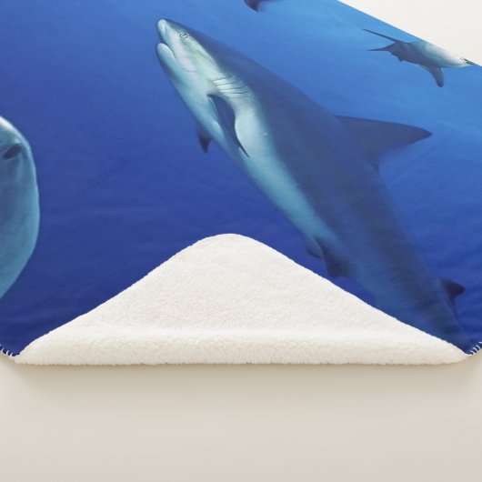 COUVERTURE SHERPA DES REQUINS PARTOUT (3/4)