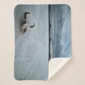 Couverture Sherpa Deserts | Bonneville Salt Flats Utah (Devant)