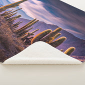 Couverture Sherpa Deserts | Cactus Landscape Argentina (3/4)