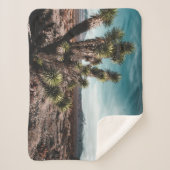 Couverture Sherpa Deserts | Cholla Cactus (Devant)