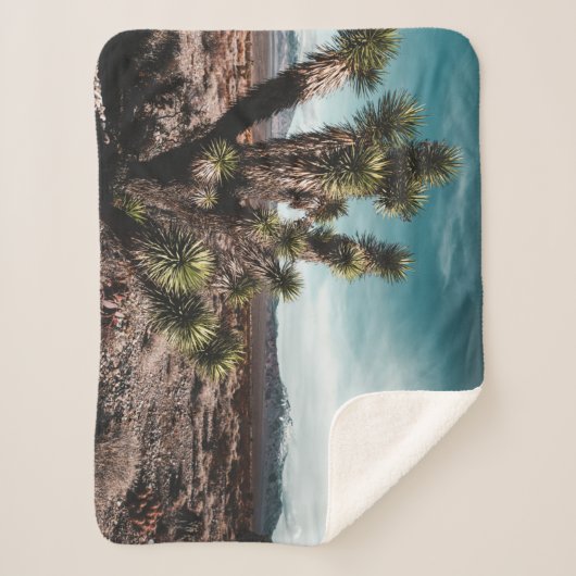 Couverture Sherpa Deserts | Cholla Cactus (Devant)