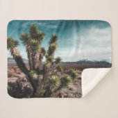 Couverture Sherpa Deserts | Cholla Cactus (Devant (Horizontal))
