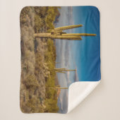 Couverture Sherpa Deserts | Superstition Mountains, Arizona (Devant)