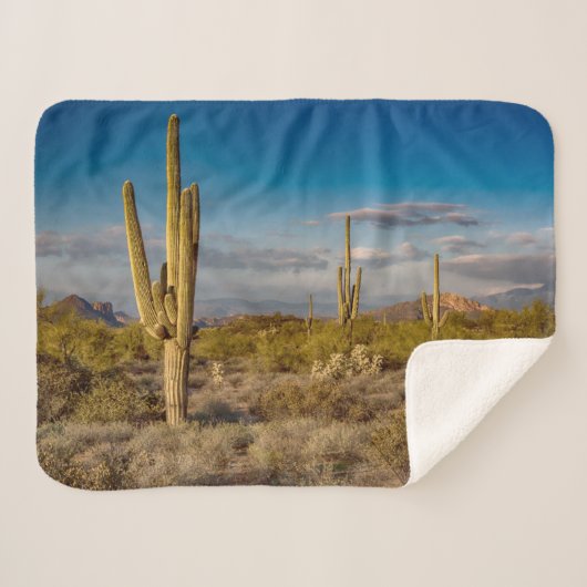 Couverture Sherpa Deserts | Superstition Mountains, Arizona (Devant (Horizontal))