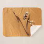 Couverture Sherpa Deserts | Tuareg Walk with Camels (Devant (Horizontal))