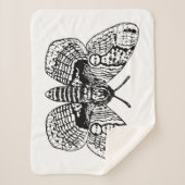 Couverture Sherpa Dessin Brahmin moth (Devant)