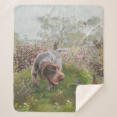 Couverture Sherpa Deutsch Drahthaar (Devant)