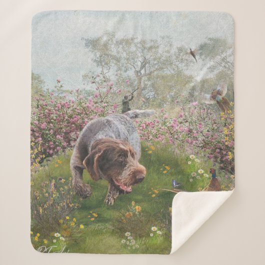 Couverture Sherpa Deutsch Drahthaar (Devant)