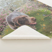 Couverture Sherpa Deutsch Drahthaar (3/4)