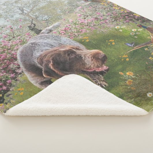 Couverture Sherpa Deutsch Drahthaar (3/4)