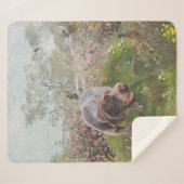 Couverture Sherpa Deutsch Drahthaar (Devant (Horizontal))