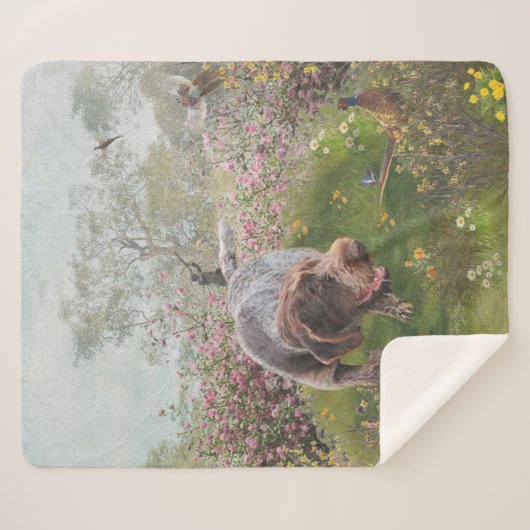 Couverture Sherpa Deutsch Drahthaar (Devant (Horizontal))