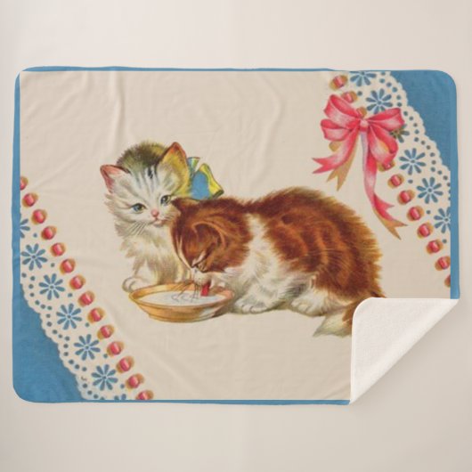 Couverture Sherpa deux adorables chatons imprimés (Devant (Horizontal))