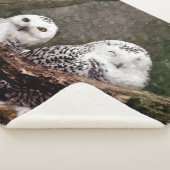 Couverture Sherpa Deux Chouettes (3/4)