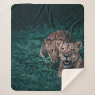 COUVERTURE SHERPA DEUX LIONISATIONS SUR LES PLANTES VERTS