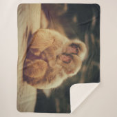 COUVERTURE SHERPA DEUX SINGES (Devant)