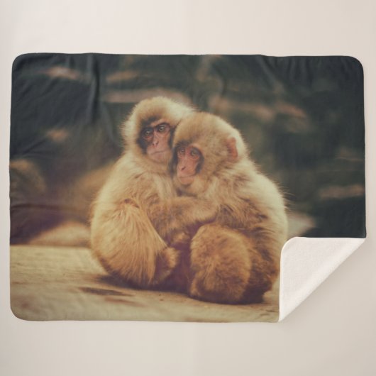 COUVERTURE SHERPA DEUX SINGES (Devant (Horizontal))