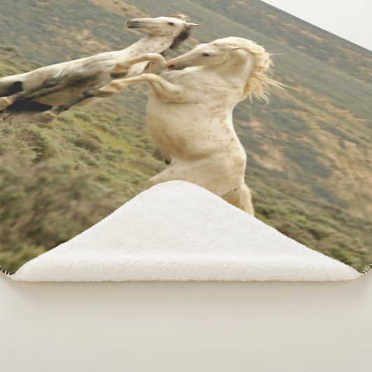 Couverture Sherpa Deux Stallions sauvages combattent (3/4)