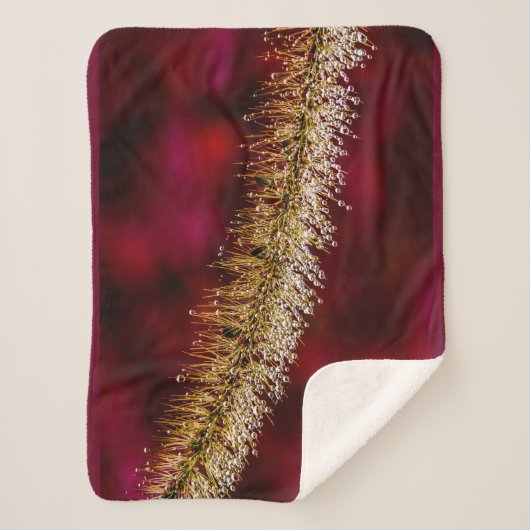 Couverture Sherpa Dew du matin (Devant)