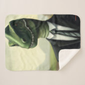 Couverture Sherpa Dinosaure préhistorique Homme d'affaires, Amusant (Devant (Horizontal))