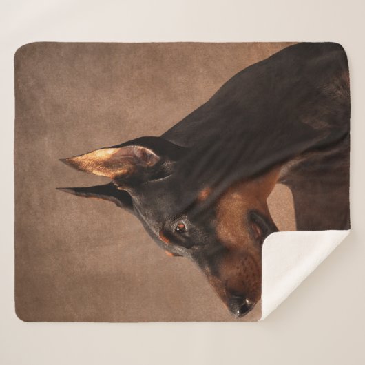 Couverture Sherpa Dobermann - Pinscher de dobermann (Devant (Horizontal))
