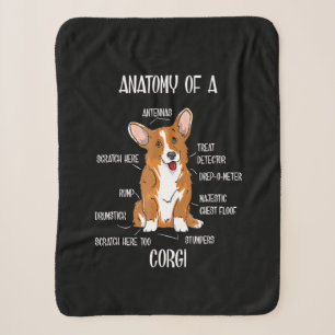 Couverture Sherpa Dog Anatomy , Cute Welsh Corgi Cadeau De Biologie