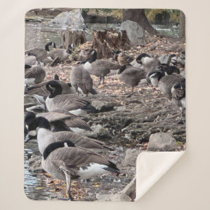 Couverture Sherpa d'oies dans le parc