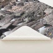 Couverture Sherpa d'oies dans le parc (3/4)