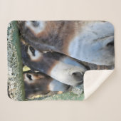 Couverture Sherpa Donkey Love Sherpa Blanket (Devant (Horizontal))