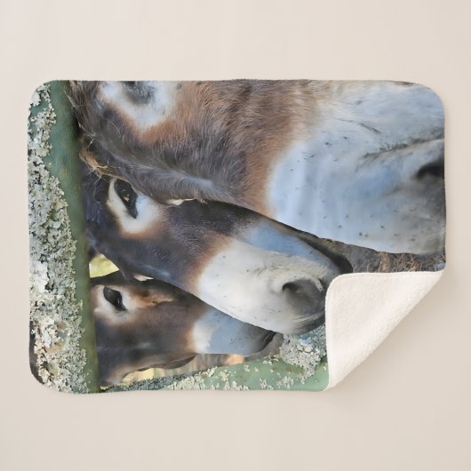 Couverture Sherpa Donkey Love Sherpa Blanket (Devant (Horizontal))