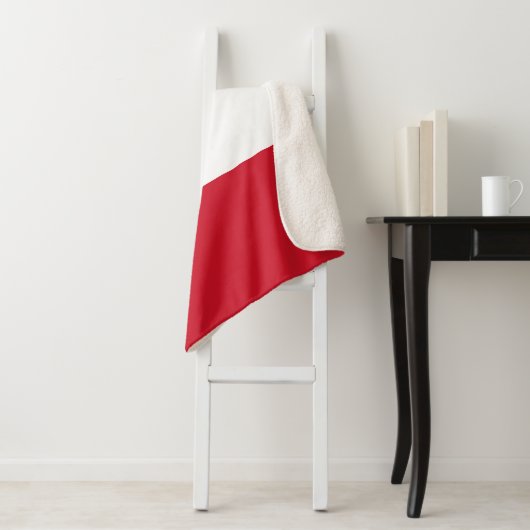 Couverture Sherpa Drapeau Mexicain (En situation)