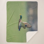 Couverture Sherpa DUCK en vol (Devant)